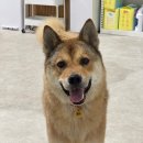 하우에버 포우에버 | 귀여워...짜식
