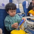 한국교육기자재 주식회사 | 일산 고양 아이와 가볼만한 곳 한국항공대학교 A300 항공기체험 항공우주박물관