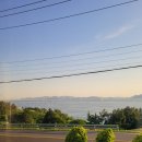 남해벚꽃길지나서 이미지