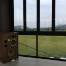 달레메종 이미지