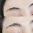 브로우코드 속눈썹&눈썹 네이버블로그