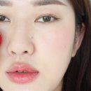 하파크리스틴 코스메틱 립앤블러쉬 10종 립앤치크 전색상 후기