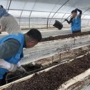 국립농산물품질관리원 이미지