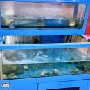 한식사랑 | [다니에르 맛집] 선릉역한식 생태사랑 후기