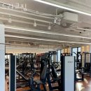 드라코짐 이미지