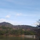 부산어린이대공원 티스토리
