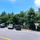 자연농원오리탕명가 네이버블로그