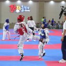 동해태권도체육관 이미지