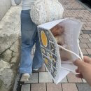 봉봉스테이션 군산수송점 | [군산]행복은 멀리 있구나/다들 해무 칵테일 먹으러 군산가