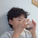 텃골 흑염소목장 | 아이부터 부모님 건강식 선물 추천, 아산녹용 ::하남사슴목장 녹용진액 포장 후기 (전국배송)