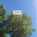 맑고 향기롭게 이미지