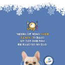 보성통증동물병원 이미지