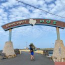 우도면복지회관 | 제주도 우도 비양도 백패킹 후기 : 꿀팁 총정리