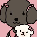 팡앤뭉치 이미지