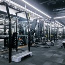 단풍나무짐 이미지