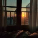 (주)젤리버스 | 만나지 못한 젤리곰