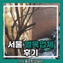 서울 | 서울 벌목업체 후기