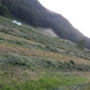 경인목장 이미지