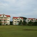 (주)세인코리아 이미지