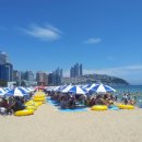 해운대해수욕장 이미지