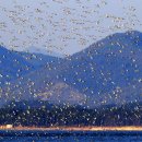 나그네쉼터 이미지