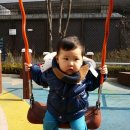 별님어린이공원 이미지