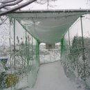 서림농원 이미지