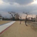 무릉초등학교 병설유치원 이미지