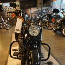 로드킹 코리아 이미지