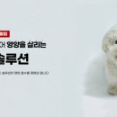 수정메디 이미지