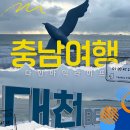 천변북길 | 충남여행 대천보령 1박2일 여행코스 비용
