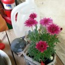 기차네즉석떡볶이 이미지