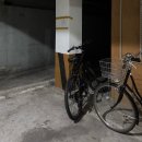 레드메인 | 대구 중구 밤길도 걱정없는 가시론 V20S-1500 자전거 용품 라이트 전조등 후기