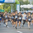 엘리트메디 이미지