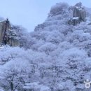 청송길R 이미지