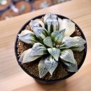 화정농장 이미지