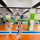 정도 K타이거즈 태권도 이미지