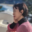 마당말들 이미지