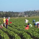 수일 농장 이미지