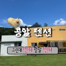 삼이네 펜션 | [포천 애견동반 펜션] 콩알펜션 단체 복층 강아지 수영장 펜션 추천 (광고❌)