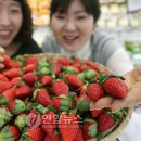 사천농협연합하나로마트