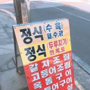 먹돌새기 | 서귀포 이중섭거리 근처 혼밥 식당 먹돌새기
