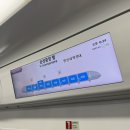 SNL스크린 | SNL 현장 방청 후기(문채원)