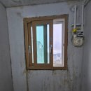 효성바이오 | 용인 탄성코트 페인트 기흥 효성해링턴 세탁실 베란다 곰팡이 제거