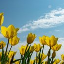 김해푸르지오부동산중개사무소 이미지