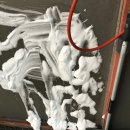 순천고고셀프세차장 이미지