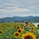 남리식당 이미지