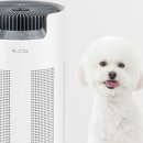 공기좋은집 이미지