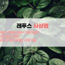 레푸스 사상점 이미지