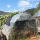 내서읍724 이미지